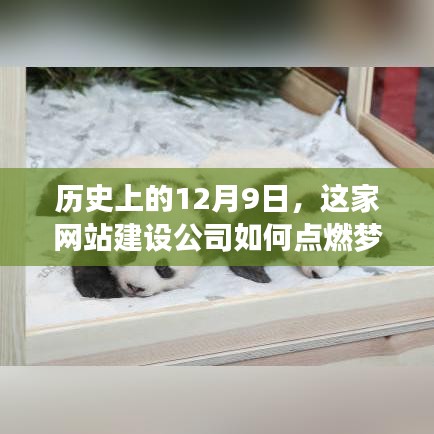 踊贵屦贱 第4页