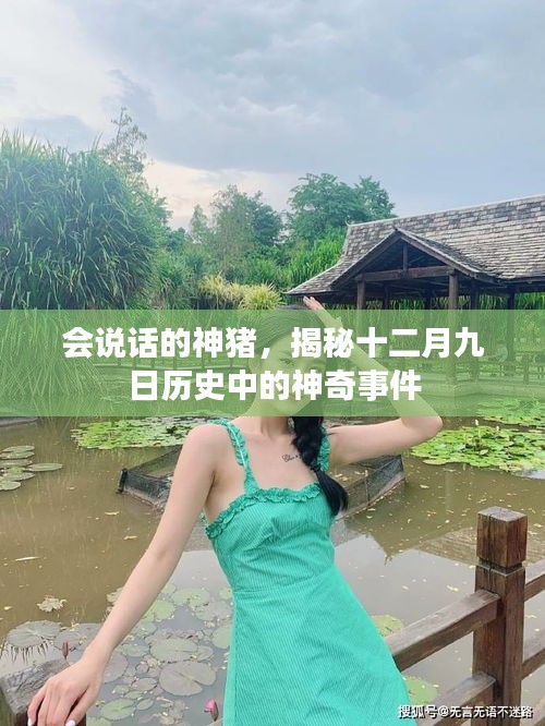 高抬贵手 第4页