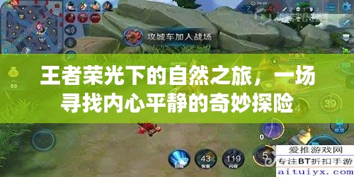 王者荣光下的自然之旅,一场寻找内心平静的奇妙探险