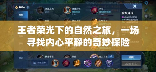 王者荣光下的自然之旅,一场寻找内心平静的奇妙探险