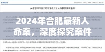 揭秘合肥最新人命案,案件细节与社会反响深度剖析