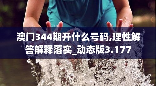 澳门344期开什么号码,理性解答解释落实_动态版3.177