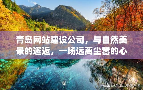 青岛网站建设公司,与自然美景的邂逅,一场远离尘嚣的心灵之旅