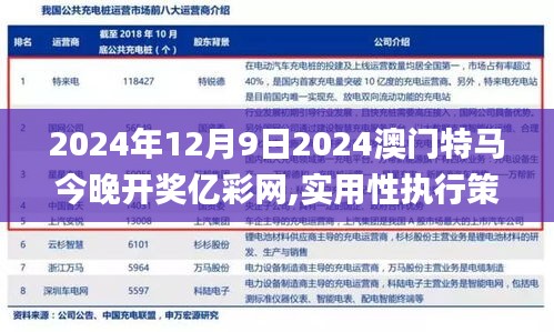2024年12月9日2024澳门特马今晚开奖亿彩网,实用性执行策略讲解_Advance10.702