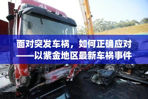 突发车祸应对指南,以紫金地区车祸事件为例的详细步骤与应对策略