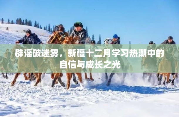 新疆十二月学习热潮中的自信与成长之光,辟谣与真相的探索