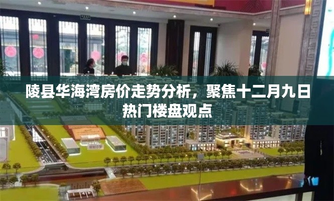 陵县华海湾房价走势解析,热门楼盘观点聚焦十二月九日