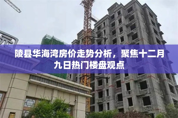 陵县华海湾房价走势解析,热门楼盘观点聚焦十二月九日