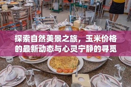 自然探索之旅,玉米价格动态与心灵宁静的寻觅之路