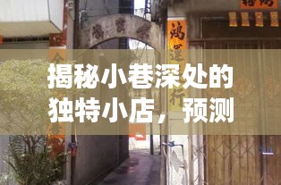 小巷深处的独特小店,未来教育新动向与独特风味探索