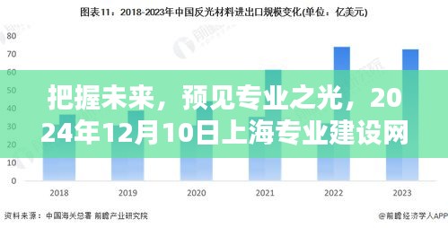 上海专业建设网站的崛起与我们的励志之旅,预见未来之光,把握专业机遇