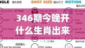 346期今晚开什么生肖出来呢,快速解答解释定义_钻石版6.329