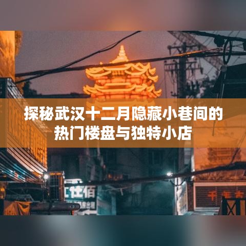 探秘武汉十二月隐藏小巷的热门楼盘与独特风情小店