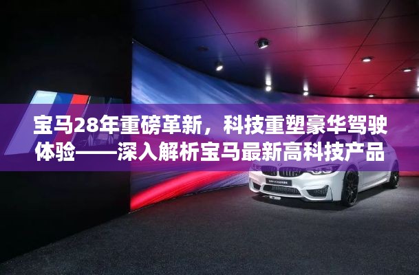 首鼠两端 第4页
