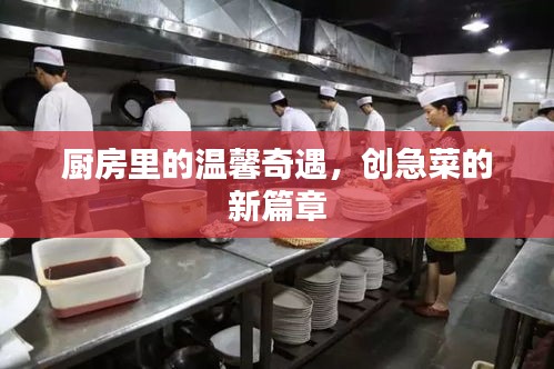厨房温馨奇遇,创新菜品新篇章
