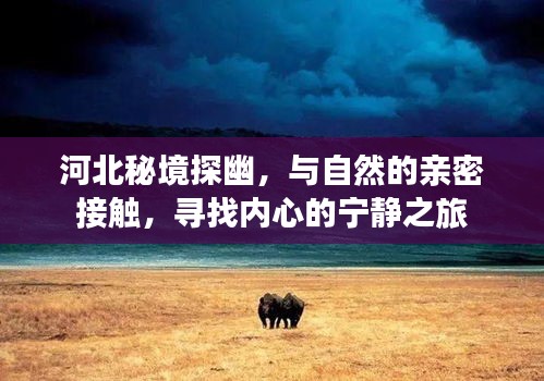河北秘境探幽,亲近自然之旅,寻找内心宁静的旅程