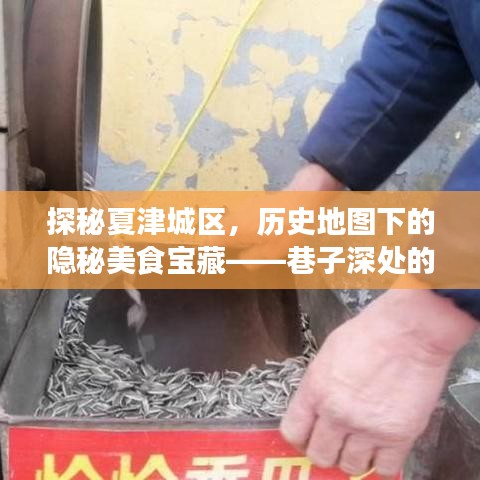 百鸟朝凤 第4页