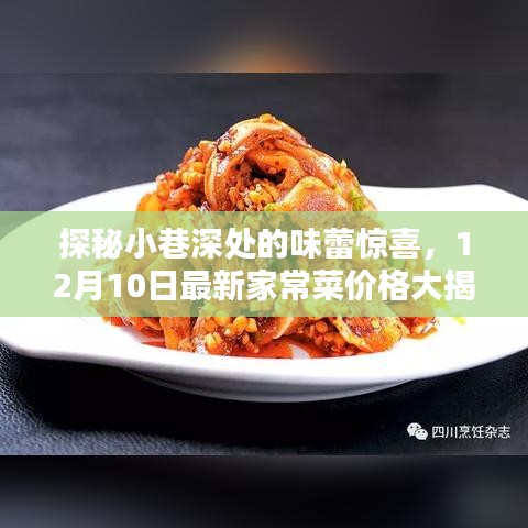 探秘小巷深处的味蕾惊喜,最新家常菜价格揭晓