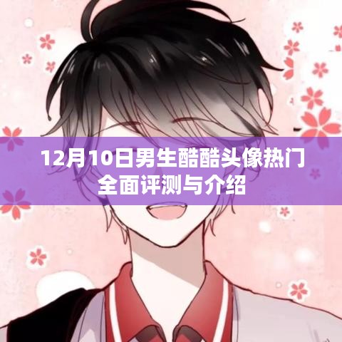 12月10日男生酷头像热门榜单TOP评测与详解
