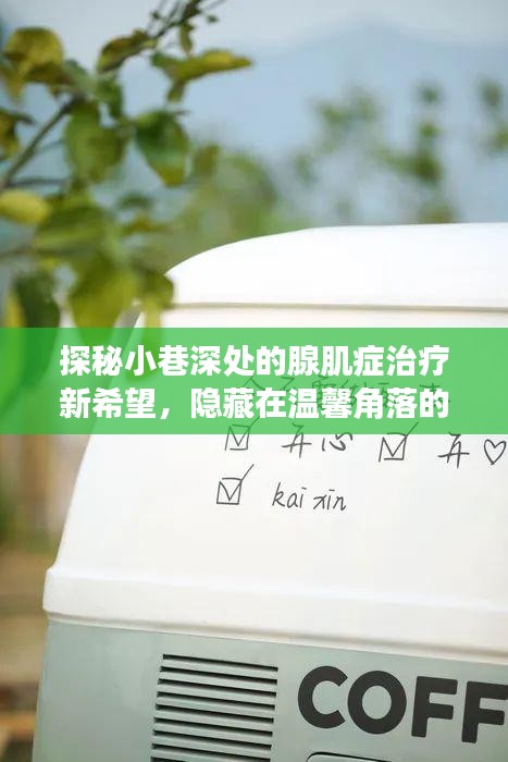 探秘小巷深处的腺肌症治疗新希望,特色药物与温馨小店的隐秘宝藏