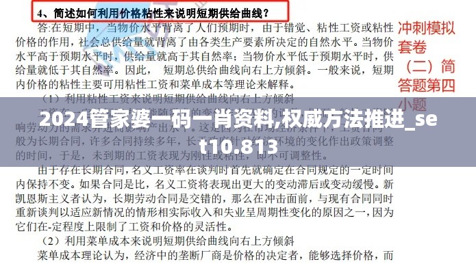 2024管家婆一码一肖资料,权威方法推进_set10.813