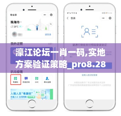 濠江论坛一肖一码,实地方案验证策略_pro8.280