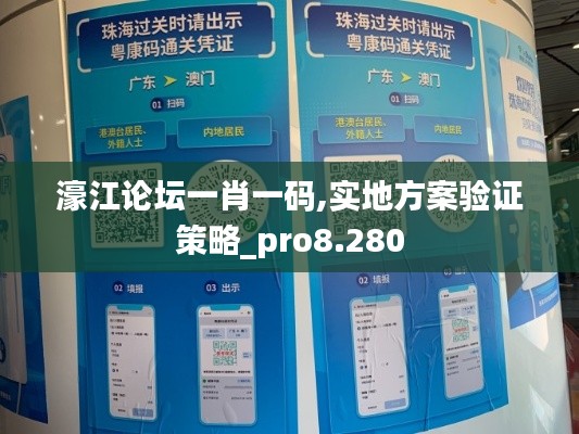 濠江论坛一肖一码,实地方案验证策略_pro8.280