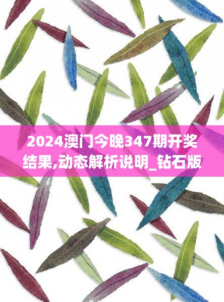 2024澳门今晚347期开奖结果,动态解析说明_钻石版3.404