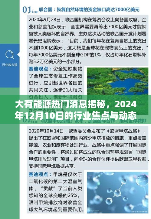 大有能源焦点,揭秘行业焦点与动态,展望2024年12月10日