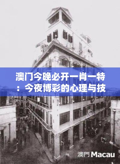 澳门今晚必开一肖一特:今夜博彩的心理与技术分析