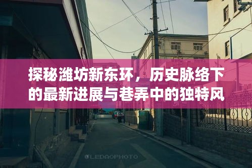 探秘潍坊新东环,最新进展与巷弄风情的独特体验