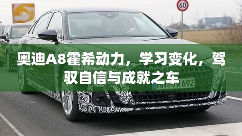 奥迪A8霍希动力,驾驭自信,成就非凡之车的学习之旅