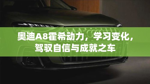 奥迪A8霍希动力,驾驭自信,成就非凡之车的学习之旅