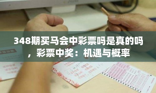 348期买马会中彩票吗是真的吗,彩票中奖:机遇与概率