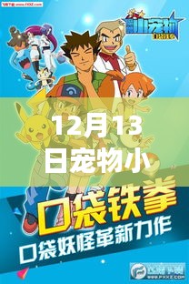 12月13日宠物小精灵最新版本游戏深度解析,我的观点分享