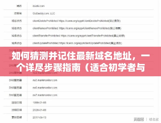最新域名地址猜测与记忆技巧,初学者与进阶用户的步骤指南