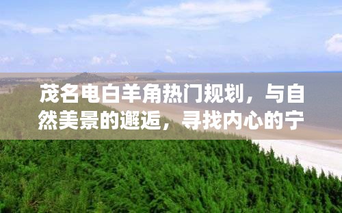 茂名电白羊角规划之旅,与自然美景的邂逅与寻找内心宁静的旅程