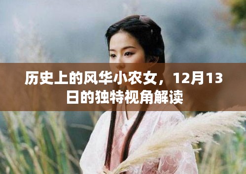 风华小农女,历史视角下的独特解读(12月13日)