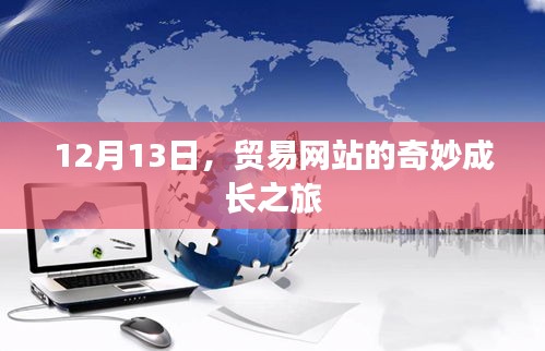 贸易网站的奇妙成长之旅,探寻成功之路的启示(12月13日)