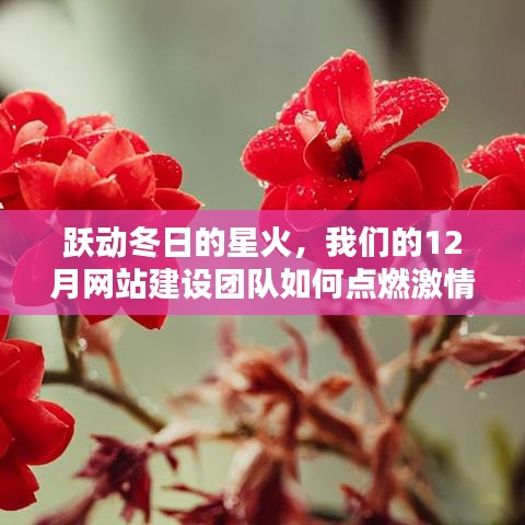 跃动冬日的星火,点燃激情与智慧之光的网站建设团队行动指南