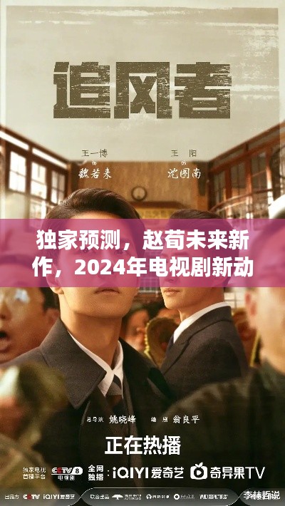 独家预测,赵荀2024年新作电视剧动向揭秘