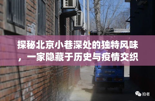 囫囵吞枣 第4页