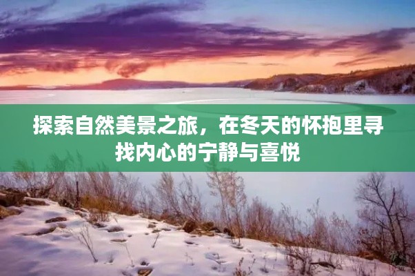冬天的自然探索之旅,寻找内心的宁静与喜悦
