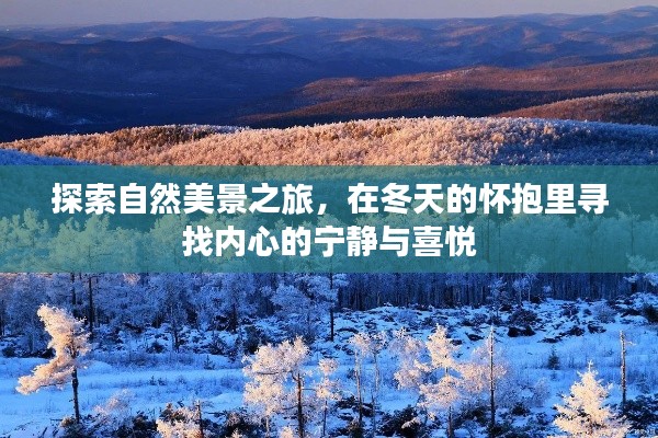 冬天的自然探索之旅,寻找内心的宁静与喜悦