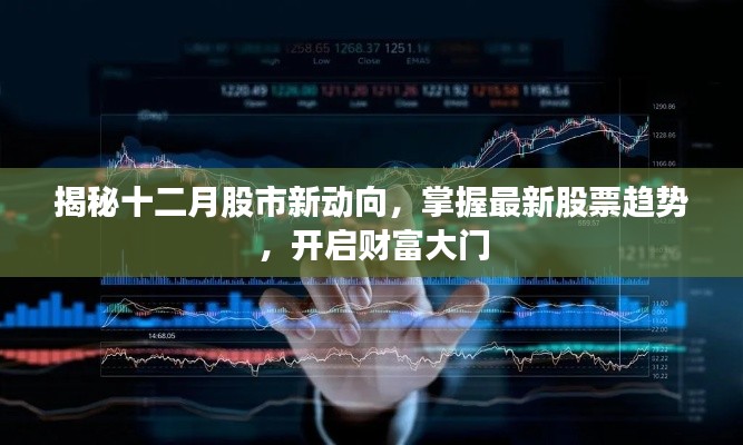 揭秘十二月股市新动向,开启财富增长之门,最新股票趋势一网打尽