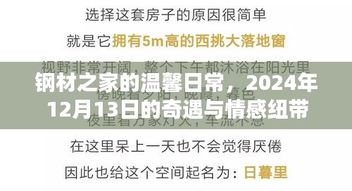 钢材之家,奇遇日之温情纽带与情感共鸣,2024年12月13日纪实