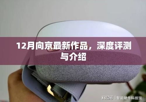 京最新力作揭秘,深度评测与介绍,带你领略十二月新作风采