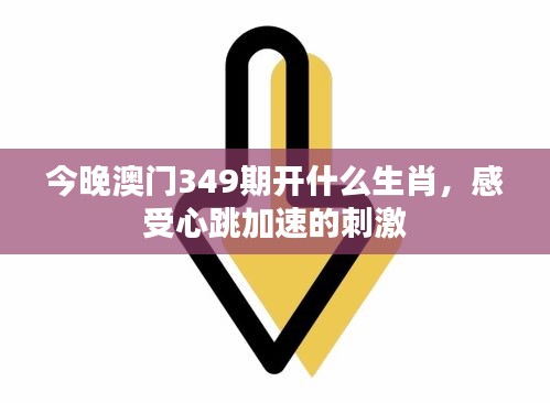 今晚澳门349期开什么生肖,感受心跳加速的刺激