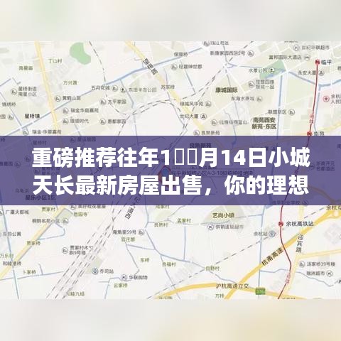 雪中送炭 第4页
