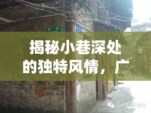 广州小巷风情与隐藏版特色小店,探寻未来房价热议焦点